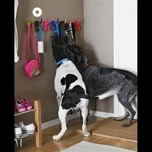 IKEA Wall Decor Ikea Set Of Dog Tail Hooks Hat Coat Key Wall